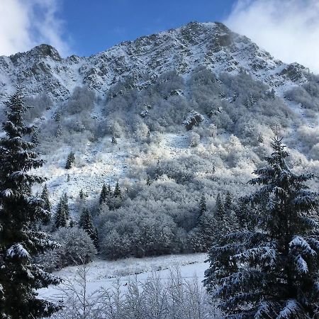 Val Di Luce - Delizioso Appartamento 6 Posti Letto - Accesso Diretto Alle Piste Da Sci Abetone Exterior photo