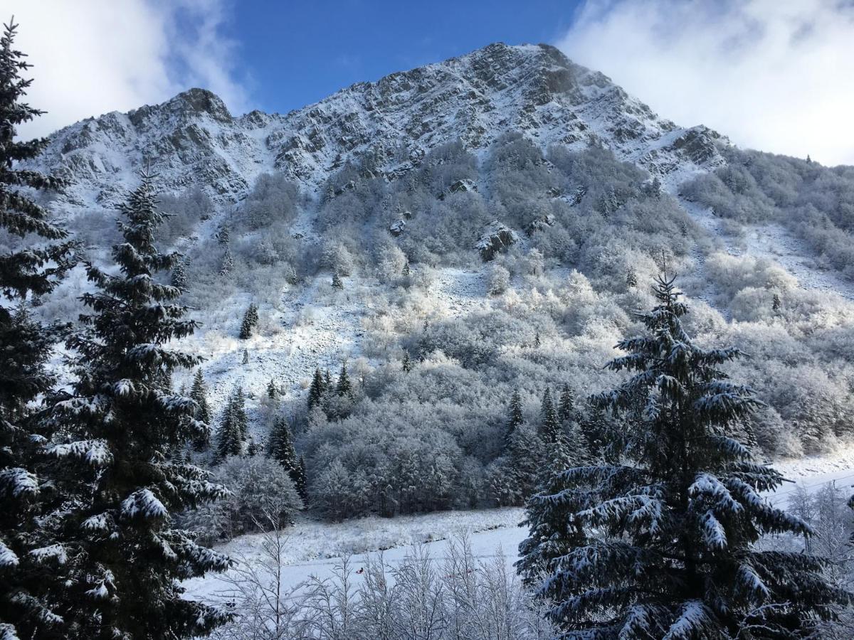 Val Di Luce - Delizioso Appartamento 6 Posti Letto - Accesso Diretto Alle Piste Da Sci Abetone Exterior photo
